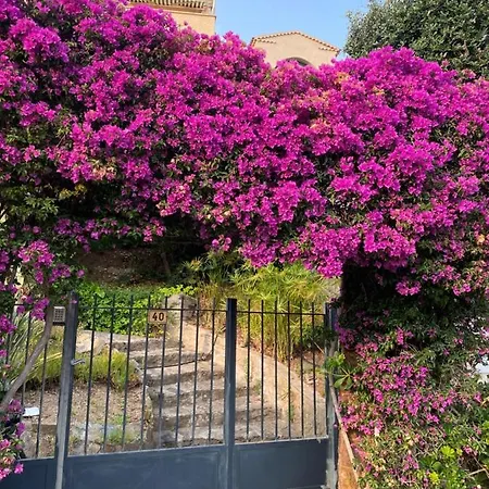 Exceptionnel Vue Refait A Neuf * Le Rayol-Canadel-sur-Mer