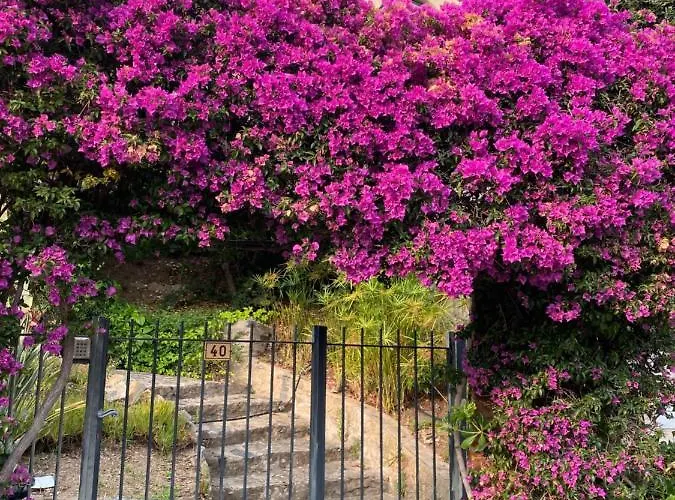 Exceptionnel Vue Refait A Neuf * Le Rayol-Canadel-sur-Mer